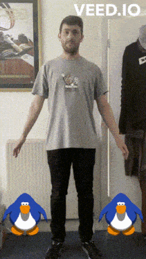 a man in a grey t-shirt is standing in front of two blue penguins with the word veed.io above him