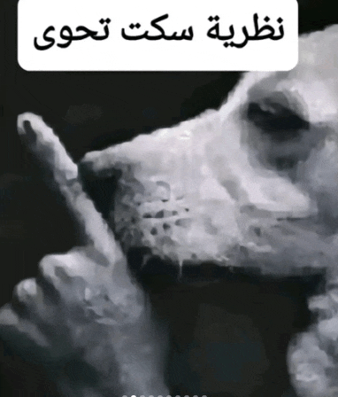 a black and white painting of a person 's face with arabic writing on it