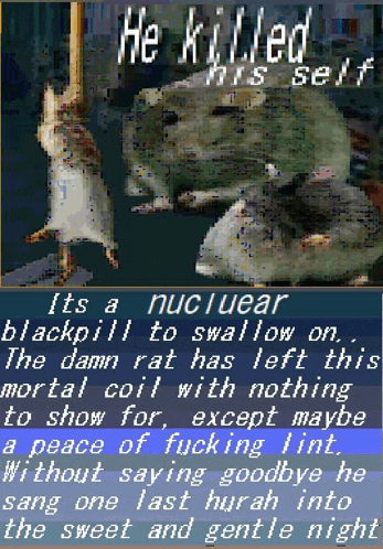 a poster that says he killed his self with a picture of a mouse