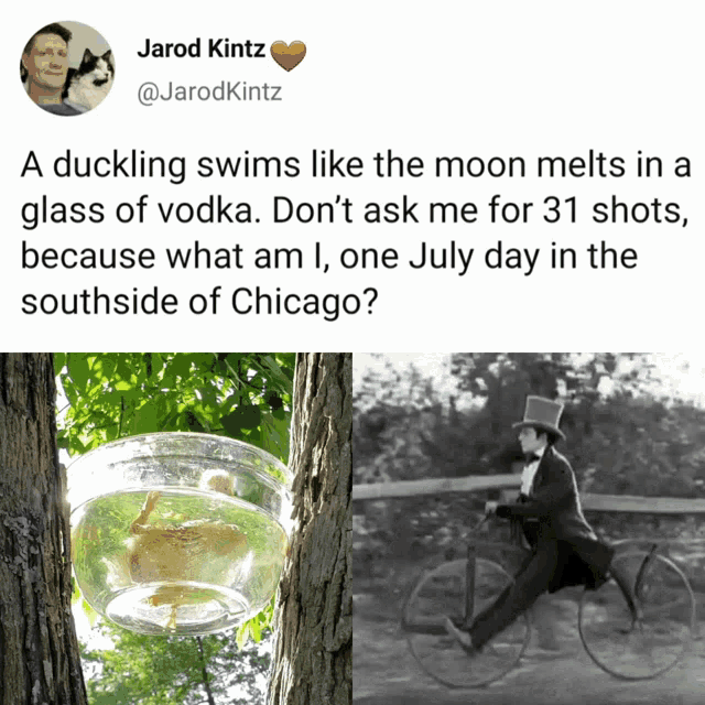 a picture of a duckling swimming in a glass of vodka
