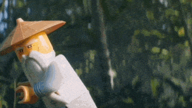 a lego ninjago character with a beard and hat is standing in the woods .