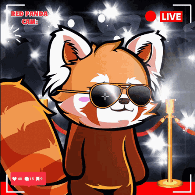 a red panda wearing sunglasses is standing on a red carpet in front of a live camera