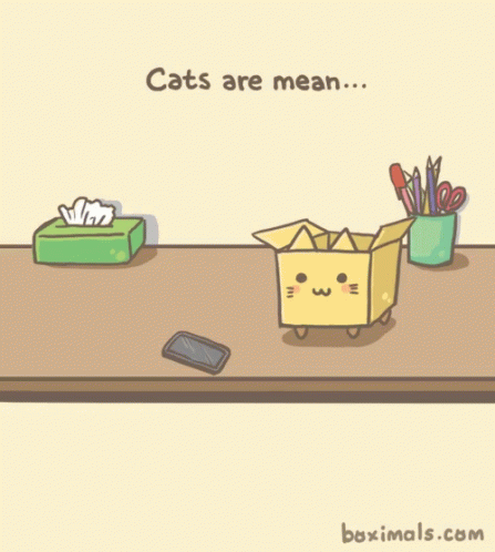 Adorable Cat GIF - Adorable Cat Mean GIFs