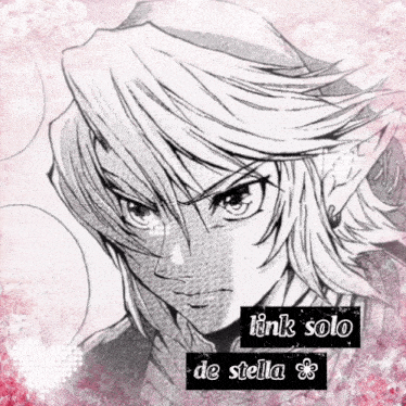 a black and white drawing of link with the words link solo de stella on the bottom