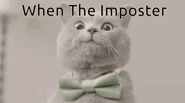 a cat wearing a green bow tie with the words when the imposter below it
