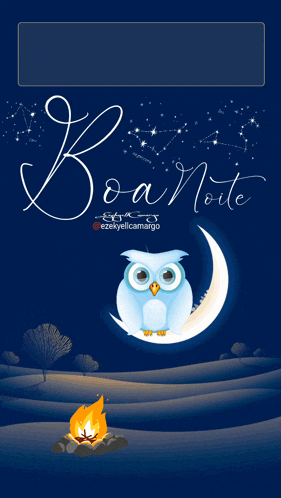 a cartoon owl sits on a crescent moon with the words boa noite written above it