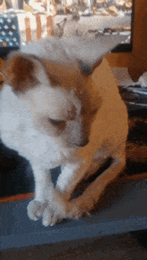 a cat laying on a desk with a computer monitor in the background