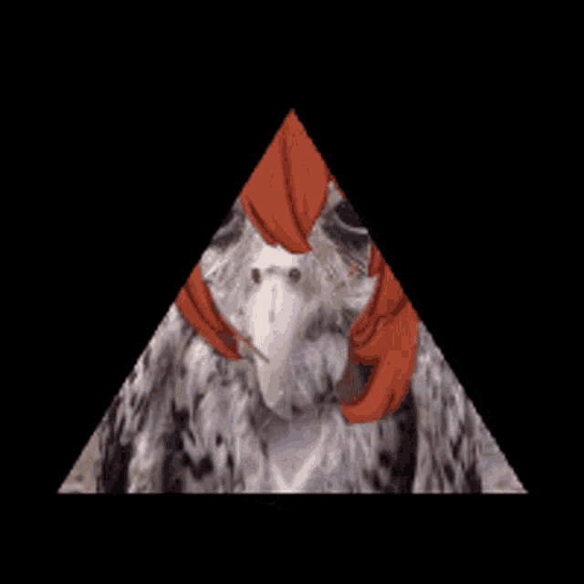 a triangle with a picture of a bird in the middle