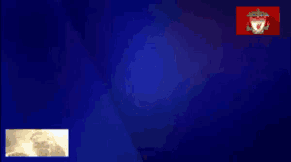 a blue background with a white lion and a crown on it