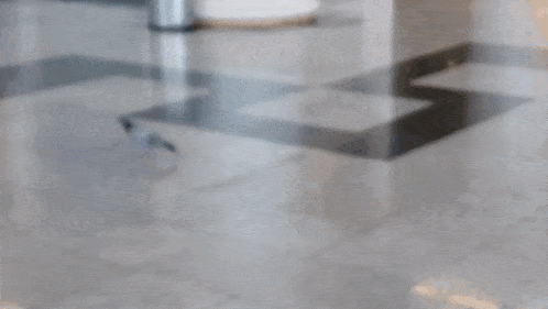 a pigeon is walking on a tiled floor in a room
