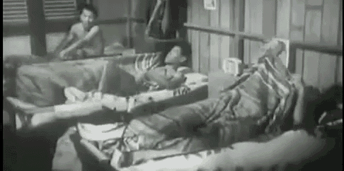 a group of people are laying in beds in a room .