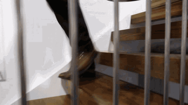 a person is walking up a set of stairs