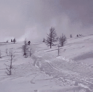 Fail Skiing GIF - Fail Skiing GIFs