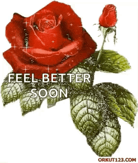 a red rose with green leaves and the words `` feel better soon '' next to it .