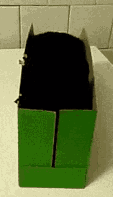 a green cardboard box with a hole in the middle of it