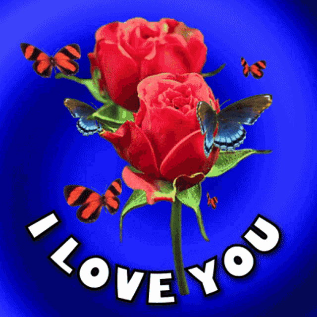 a blue background with red roses and butterflies with the words i love you