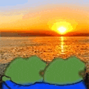 a couple of frogs are sitting on the beach watching the sunset .