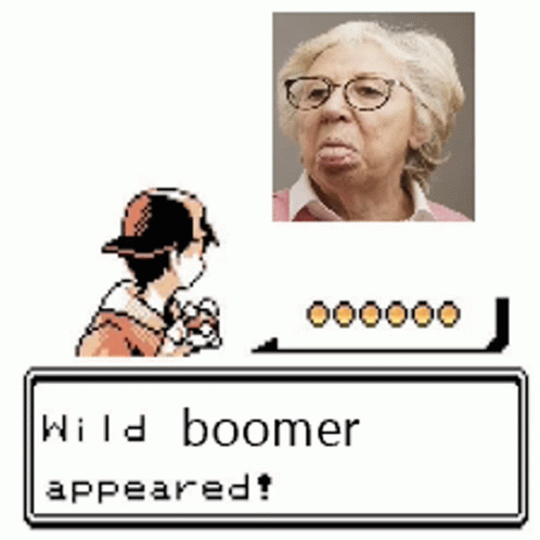 Wild Boomer Boomer GIF - Wild Boomer Boomer Pokemon GIFs