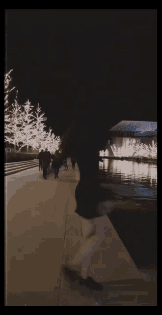 a woman in a black dress stands in front of a body of water at night