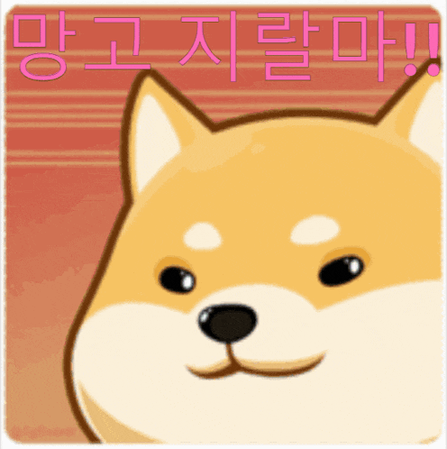 a picture of a shiba inu with korean writing on it