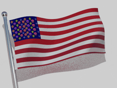 an american flag with skulls on it