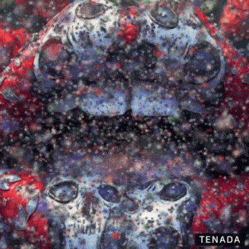 a painting of a skull with the word tenada under it