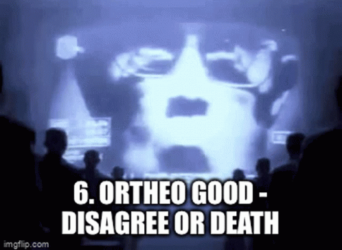 Ortheo Good GIF - Ortheo Good Disagree GIFs