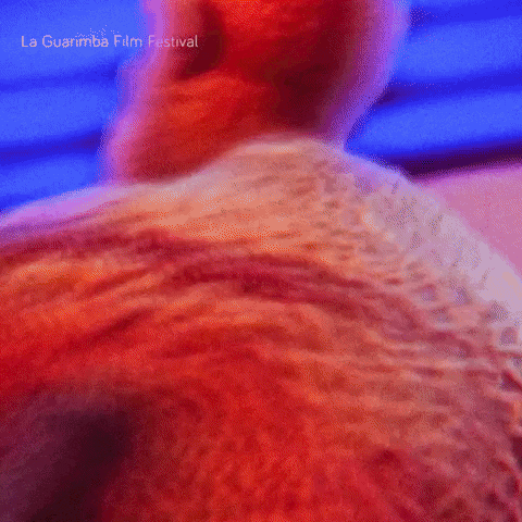 a close up of a person 's back with the words la guarimba film festival visible