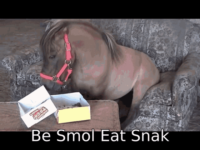 Be Smol Eat Snak Smol GIF - Be Smol Eat Snak Smol Pony GIFs