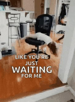 a dog is laying on a chair in a living room with the words `` like you 're just waiting for me '' .
