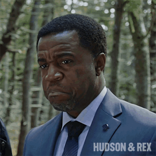 a close up of a man 's face with the words hudson & rex above him