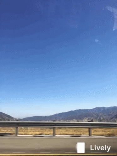Driving Road GIF - Driving Road GIFs