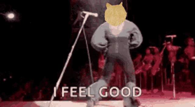 a doge is standing in front of a microphone with the words " i feel good " below him
