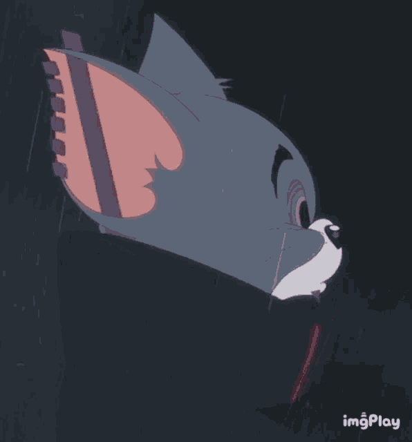 a close up of a cartoon cat 's face with the words imgplay at the bottom right
