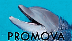 Dolphin Promova GIF - Dolphin Promova GIFs