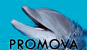 a picture of a dolphin with the word promova written below it