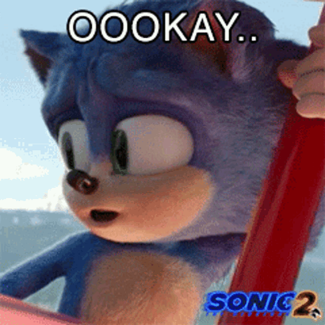 a picture of sonic the hedgehog with the caption " oookay "