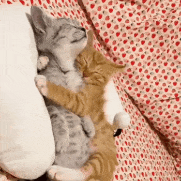 two kittens are hugging each other on a bed with an apple patterned blanket