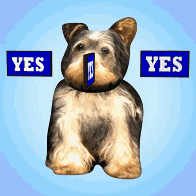 a dog with two signs that say yes in front of it