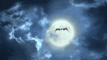 a bat is flying in front of a full moon in a cloudy night sky