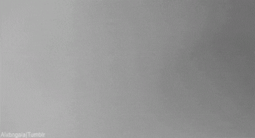 a black and white photo of a kitten jumping through the air .
