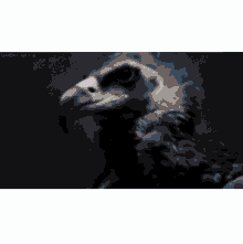 a pixelated drawing of a vulture with a gray background
