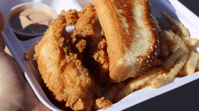 a person is holding a styrofoam container with fried chicken and french fries