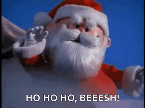 a close up of a stuffed santa claus with the words `` ho ho ho , beeesh '' written on it .