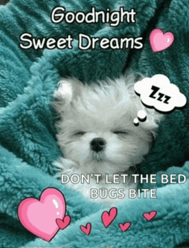 a puppy is wrapped in a blue blanket with the words goodnight sweet dreams on it