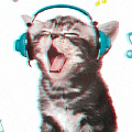 a cat is wearing headphones and yawning while listening to music .