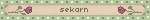 a blurred image of the word sekorn with flowers on it