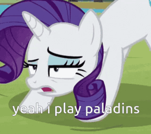 a picture of a pony with the words yeah i play paladins on the bottom