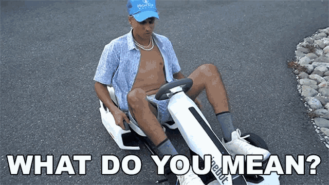 a shirtless man is riding a go kart with the words " what do you mean " written below him