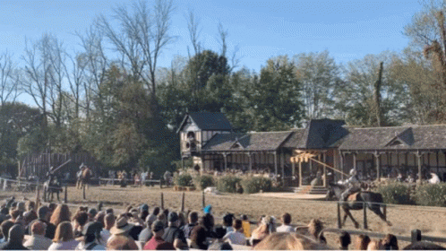 Joust Medieval GIF - Joust Medieval Times GIFs